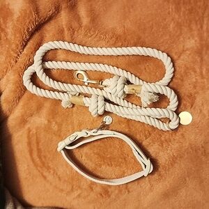 Dog leash and collar